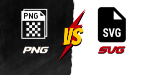 Which-Type-of-Image-Format-Affects-Web-Performance-SVG-or-PNG-1.png