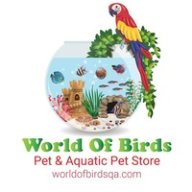 worldofbirdsqa