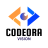 codeoravision